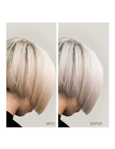 Soivre champú Violet matizador... Soivre champú Violet matizador...