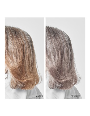 Soivre champú Violet matizador... Soivre champú Violet matizador...